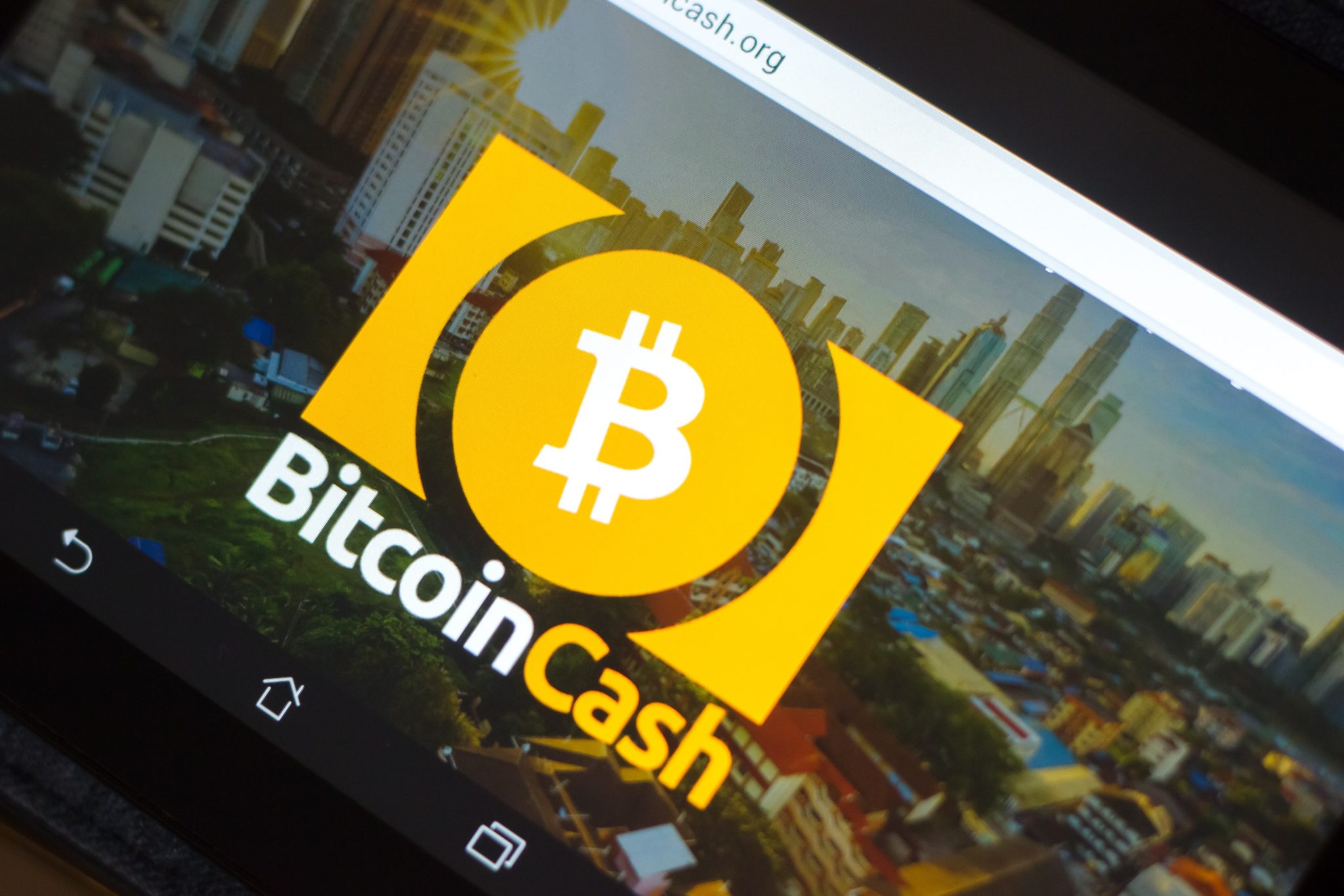 Tìm hiểu Bitcoin Cash là gì? Thông tin mới nhất 2024 về dự án blockchain được hard fork từ Bitcoin