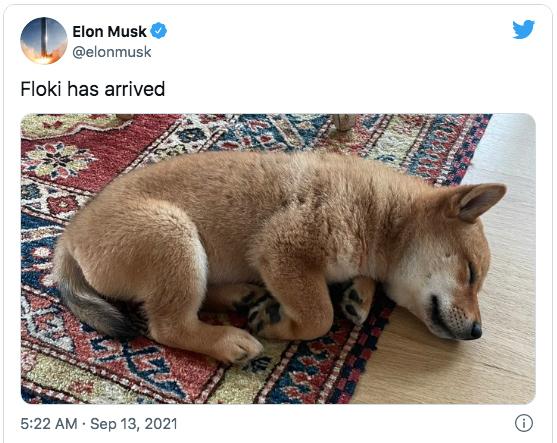 bài đăng flokki của elon musk