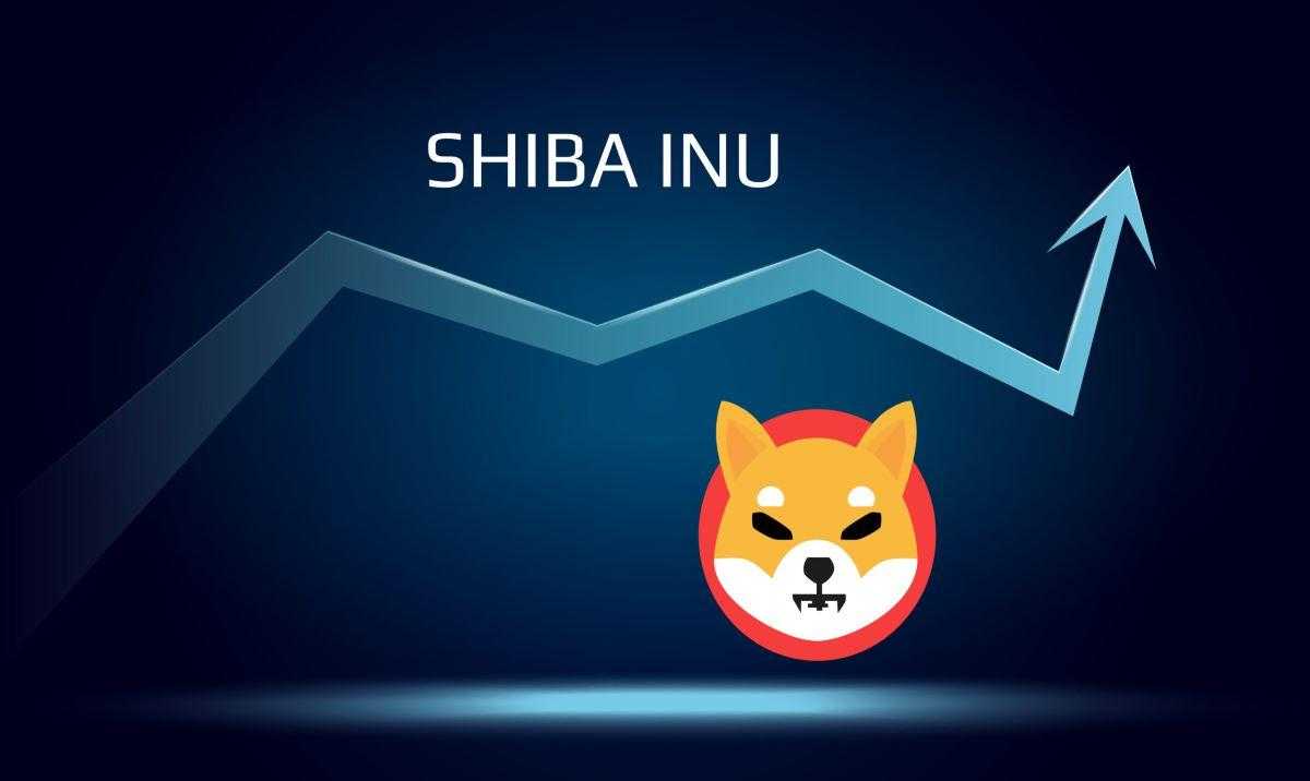 Một nhà đầu tư đã biến 2700 thành 1,2 triệu USD chỉ bằng cách giữ chặt Shiba Inu trong 3 năm qua