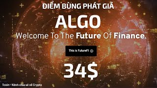 Algo coin là gì