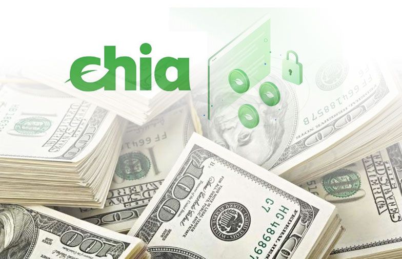 Chia coin là gì