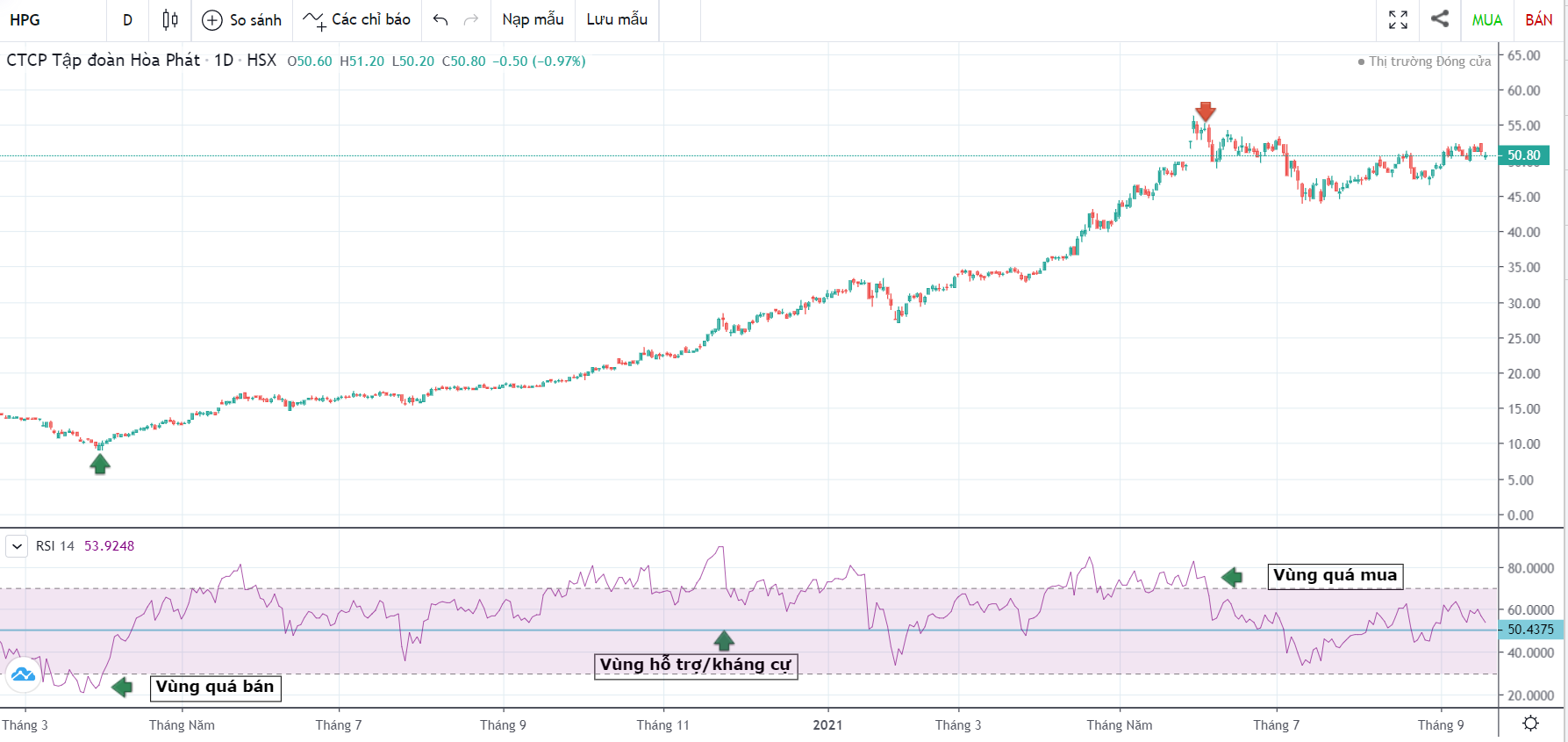 đường rsi là gì