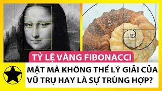 Fibonacci là gì