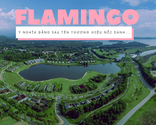 Flamingo là gì