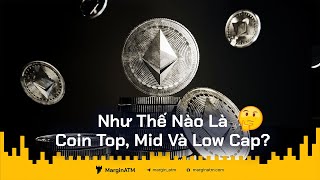 Low cap coin là gì