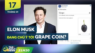 Musk coin là gì