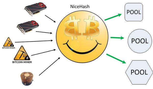 Nicehash là gì