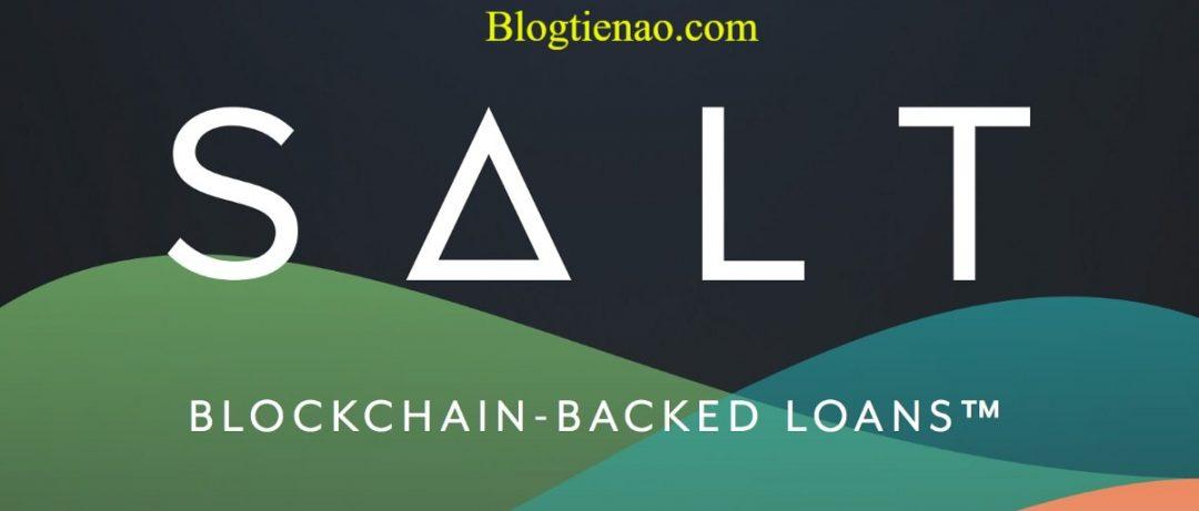 Salt coin là gì