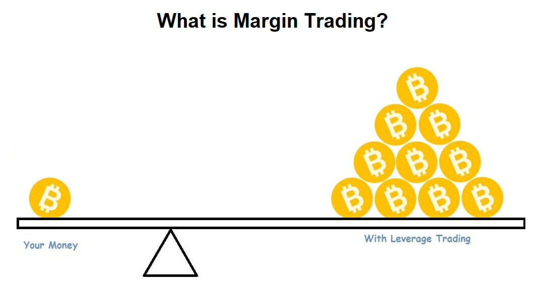 Trade margin là gì