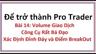 Vol trong chứng khoán là gì